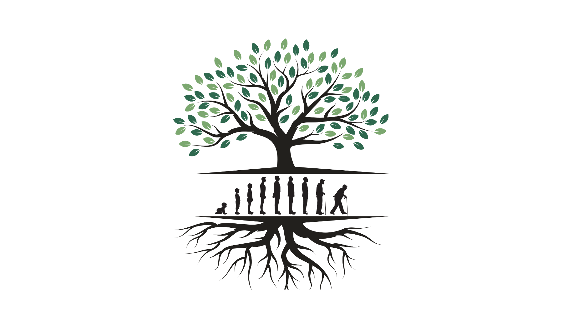 tree with exposed roots, and stages of life displayed between the roots and the tree